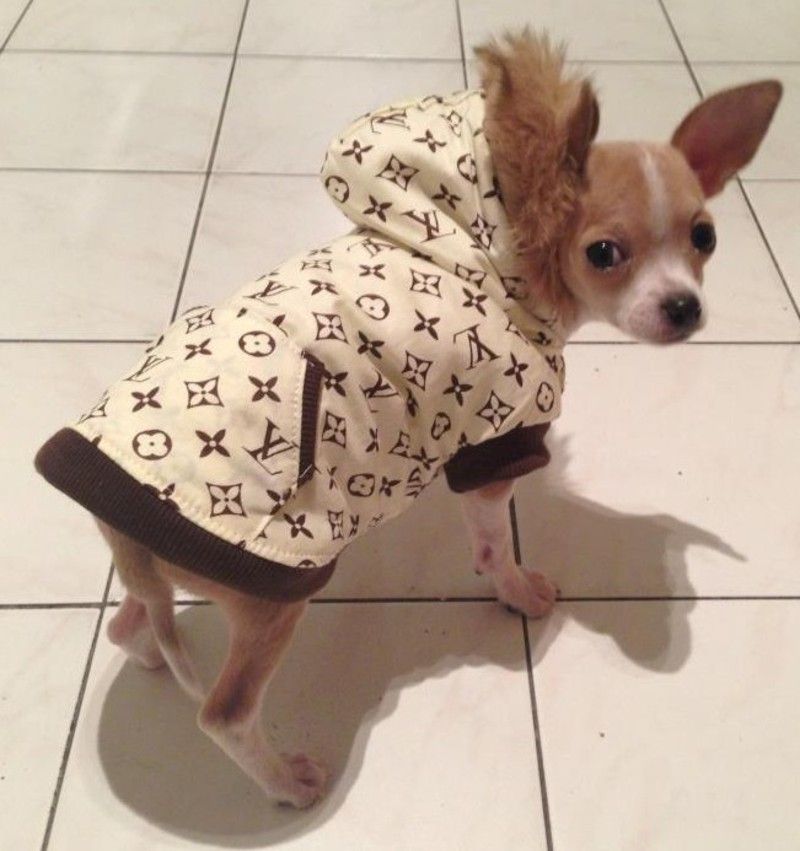 Acheter Veste Pour Chien Louis Vuitton 2023